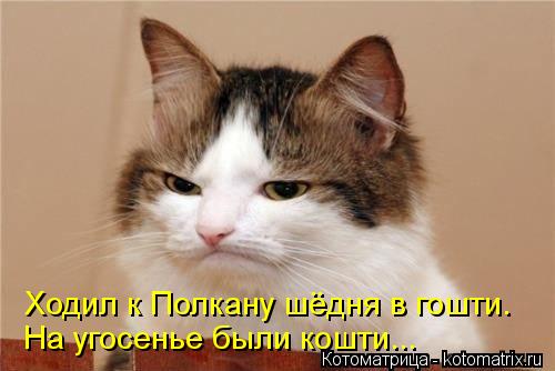 Котоматрица: Ходил к Полкану шёдня в гошти. На угосенье были кошти...