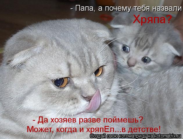 Котоматрица: Может, когда и хряпЕл...в детстве! - Да хозяев разве поймешь? - Папа, а почему тебя назвали  Хряпа?