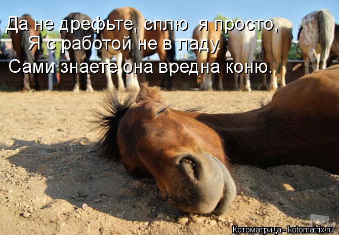 Котоматрица: Я с работой не в ладу. Да не дрефьте, сплю  я просто, Сами знаете она вредна коню.