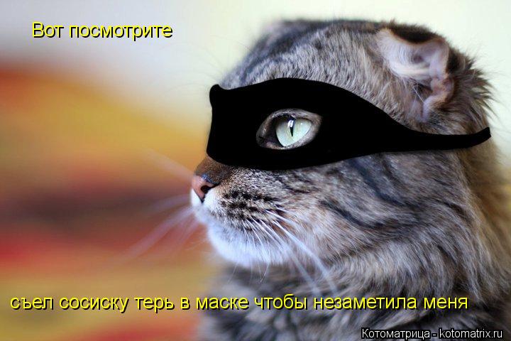 Котоматрица: Вот посмотрите съел сосиску терь в маске чтобы незаметила меня