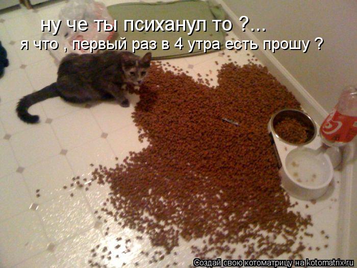 Котоматрица: ну че ты психанул то ?... я что , первый раз в 4 утра есть прошу ?