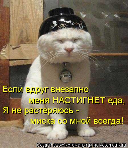 Котоматрица: Если вдруг внезапно меня НАСТИГНЕТ еда, Я не растеряюсь -  миска со мной всегда!