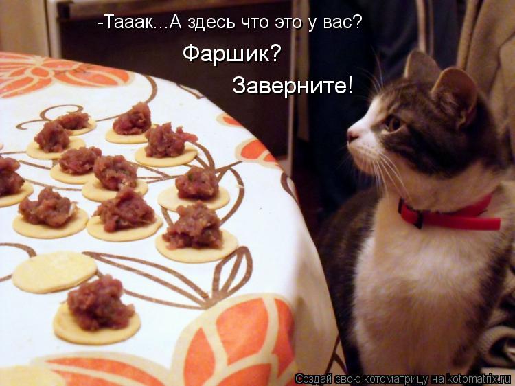 Котоматрица: Фаршик? Заверните! -Тааак...А здесь что это у вас?
