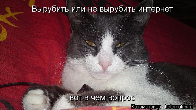 Котоматрица: Вырубить или не вырубить интернет  вот в чем вопрос