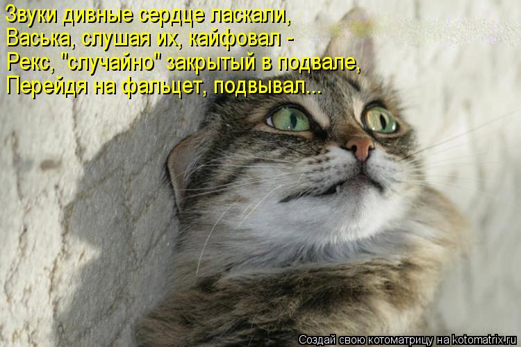 Звуки дивные сердце ласкали, Васька, слушая их, кайфовал - Рекс, "случайно" закрытый в подвале, Перей... Котоматрица: Звуки дивные сердце ласкали, Васька, слушая их, кайфовал - Рекс, "случайно" закрытый в подвале, Перейдя на фальцет, подвывал...