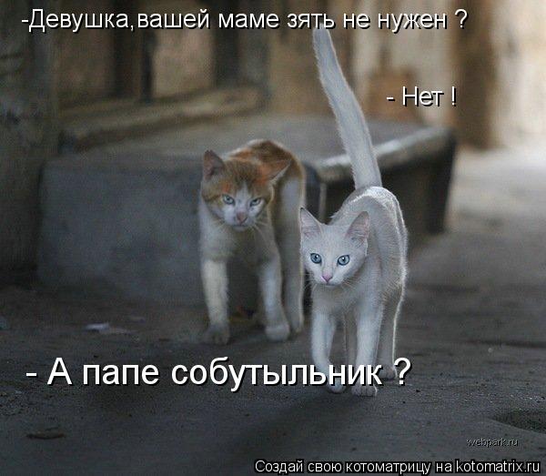 Котоматрица: -Девушка,вашей маме зять не нужен ? - Нет ! - А папе собутыльник ?