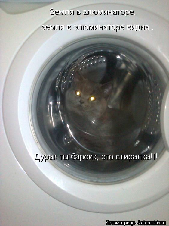 Земля в элюминаторе, земля в элюминаторе видна.. Дурак ты барсик, это стиралка!!!... Котоматрица: Земля в элюминаторе, земля в элюминаторе видна.. Дурак ты барсик, это стиралка!!!