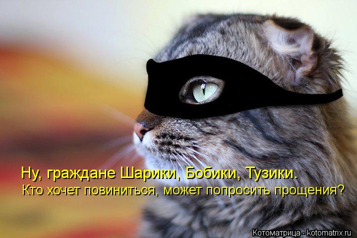 Котоматрица: Ну, граждане Шарики, Бобики, Тузики. Кто хочет повиниться, может попросить прощения?