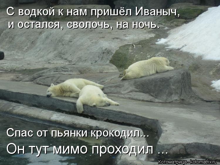 Котоматрица: и остался, сволочь, на ночь. С водкой к нам пришёл Иваныч, Спас от пьянки крокодил... Он тут мимо проходил ...