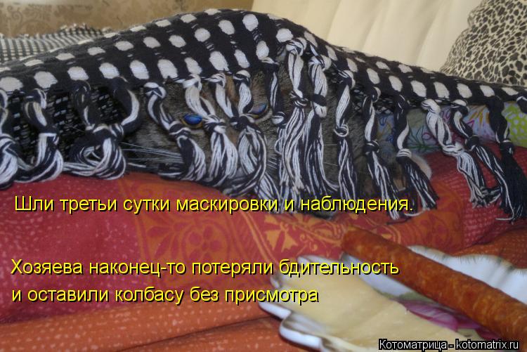 Котоматрица: Шли третьи сутки маскировки и наблюдения. Хозяева наконец-то потеряли бдительность и оставили колбасу без присмотра