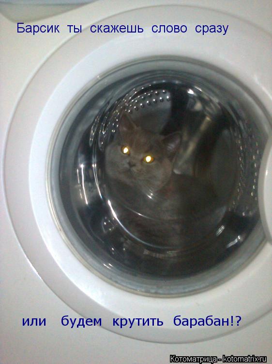 Котоматрица: Барсик  ты  скажешь  слово  сразу или   будем  крутить  барабан!?