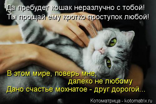 Да пребудет кошак неразлучно с тобой! Ты прощай ему кротко проступок любой! В этом мире, поверь мне, ... Котоматрица: Да пребудет кошак неразлучно с тобой! Ты прощай ему кротко проступок любой! В этом мире, поверь мне, далеко не любому Дано счастье мохнатое -