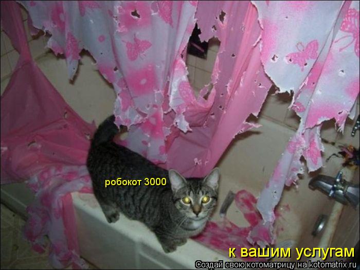 Котоматрица: робокот 3000 к вашим услугам