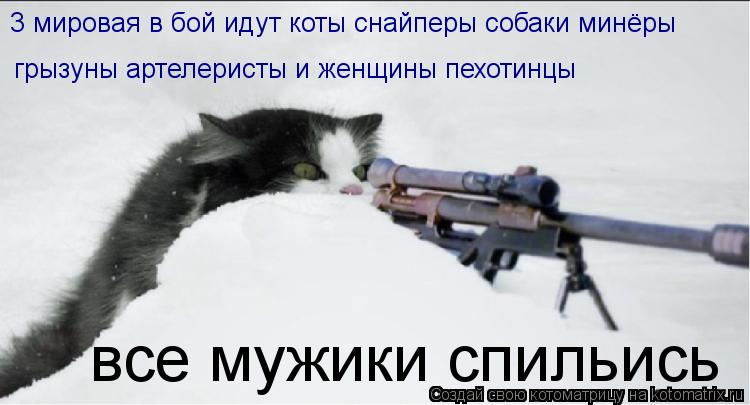 Котоматрица: 3 мировая в бой идут коты снайперы собаки минёры грызуны артелеристы и женщины пехотинцы   все мужики спильись