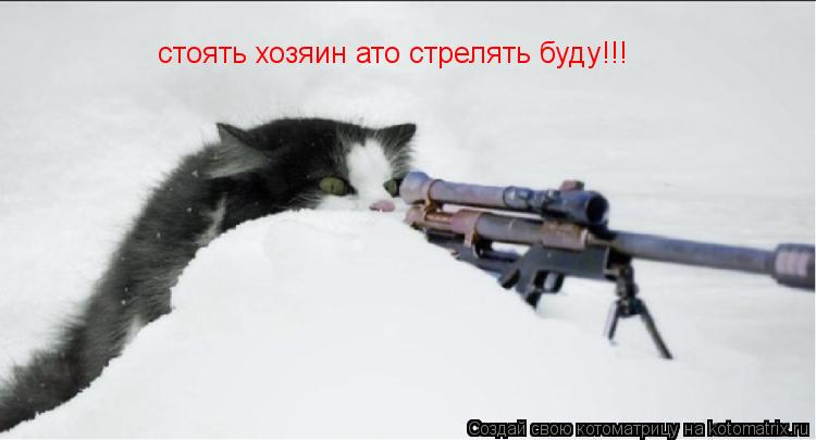 Котоматрица: стоять хозяин ато стрелять буду!!!