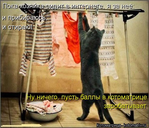 Котоматрица: Пока хозяйка сидит в интернете, я за неё: и прибираюсь, и стираю! Ну ничего, пусть баллы в котоматрице заробатывает