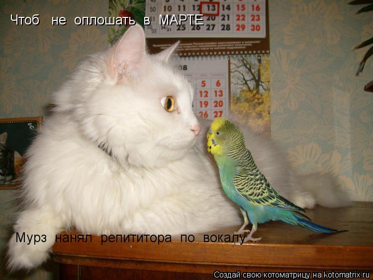 Чтоб не оплошать в МАРТЕ Мурз нанял репититора по вокалу ...... Котоматрица: Чтоб не оплошать в МАРТЕ Мурз нанял репититора по вокалу ...