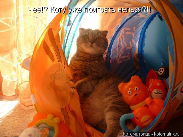 Котоматрица: Чее!?? Чее!? Коту уже поиграть нельзя?!!