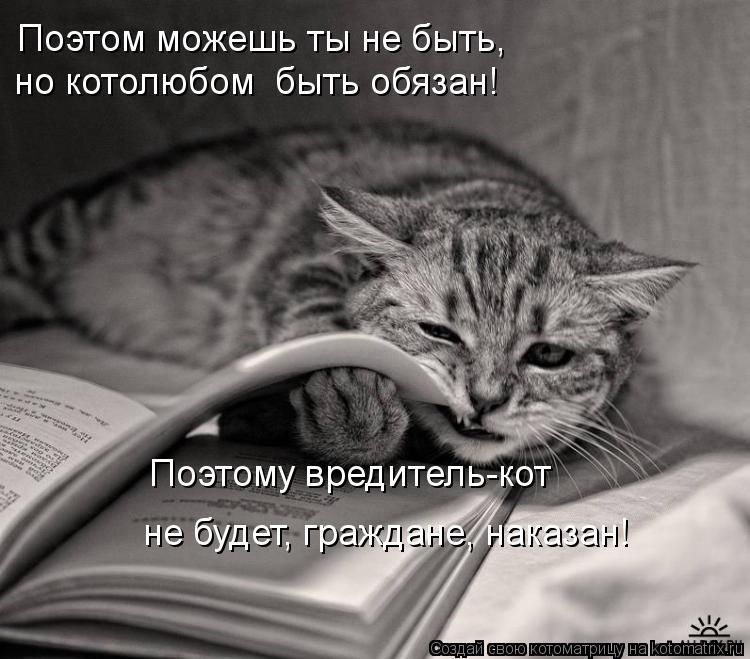 Котоматрица: Поэтом можешь ты не быть,  но котолюбом  быть обязан! Поэтому вредитель-кот не будет, граждане, наказан!