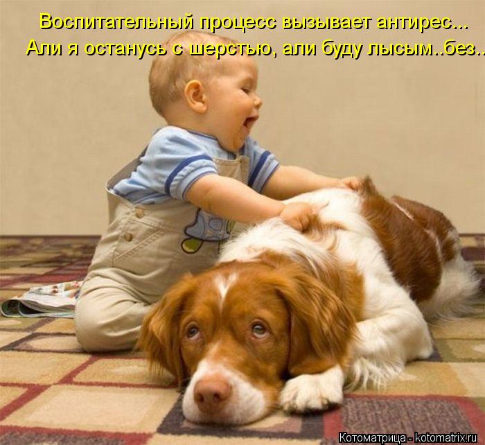 Котоматрица: Воспитательный процесс вызывает антирес... Али я останусь с шерстью, али буду лысым..без..