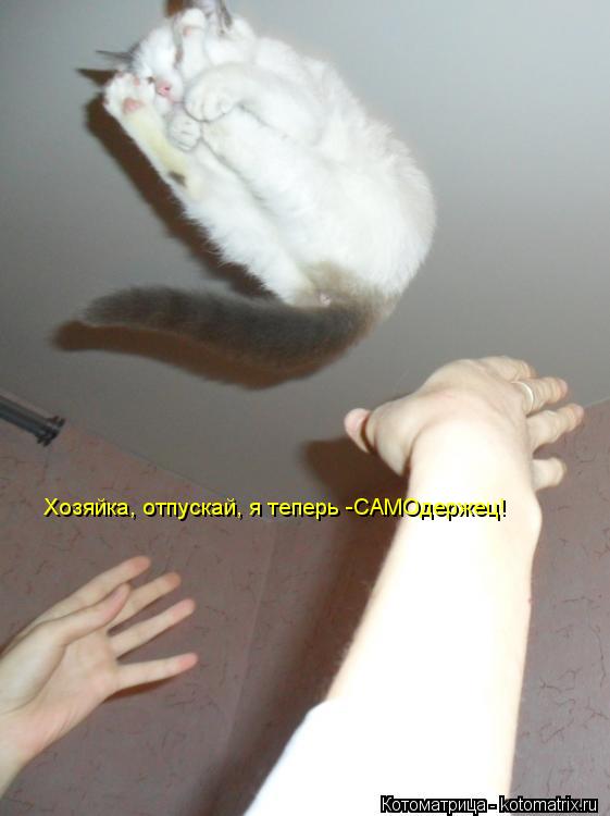 Котоматрица: Хозяйка, отпускай, я теперь -САМОдержец!