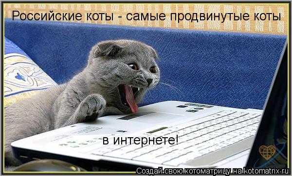 Котоматрица: Российские коты - самые продвинутые коты  в интернете!