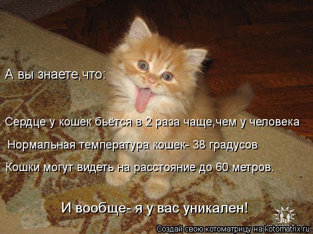 Котоматрица: Сердце у кошек бьётся в 2 раза чаще,чем у человека Нормальная температура кошек- 38 градусов  Кошки могут видеть на расстояние до 60 метров. И в