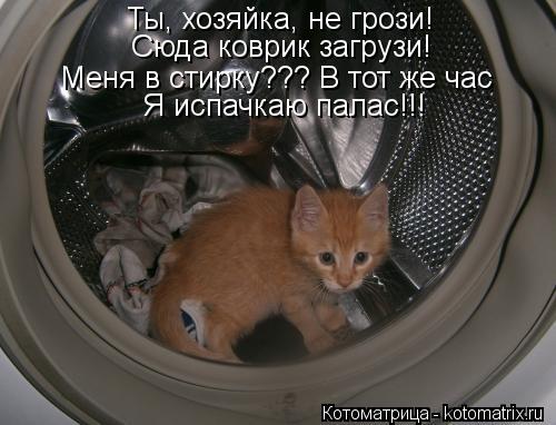 Ты, хозяйка, не грози! Сюда коврик загрузи! Меня в стирку??? В тот же час Я испачкаю палас!!!... Котоматрица: Ты, хозяйка, не грози! Сюда коврик загрузи! Меня в стирку??? В тот же час Я испачкаю палас!!!