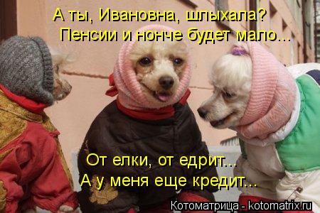 Котоматрица: А ты, Ивановна, шлыхала? Пенсии и нонче будет мало... От елки, от едрит... А у меня еще кредит...