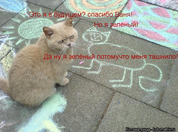 Котоматрица: Это я в будущем? спасибо Ваня! Но я зелёный! Да ну я зелёный потомучто меня ташнило!