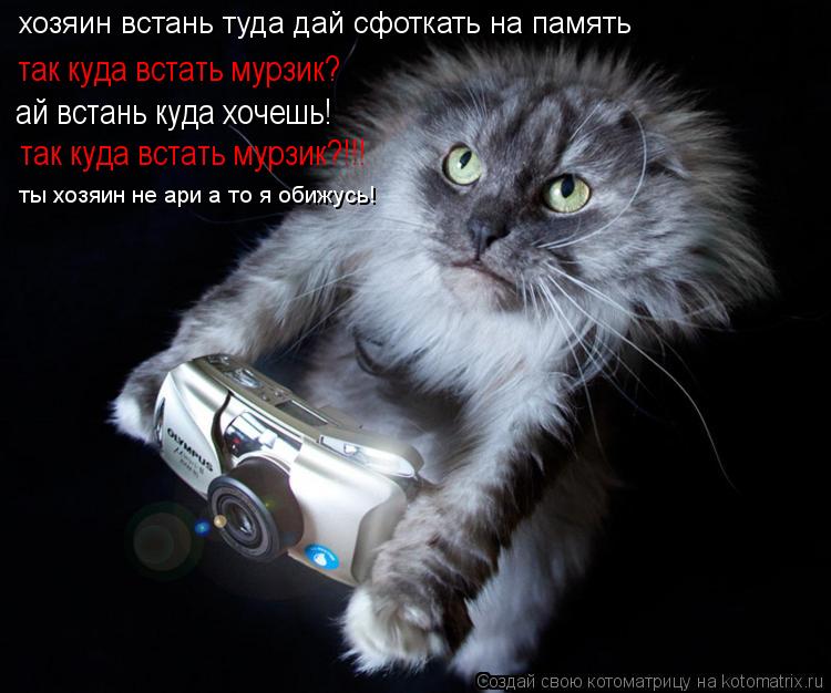 Котоматрица: так куда встать мурзик? ай встань куда хочешь! так куда встать мурзик?!!! хозяин встань туда дай сфоткать на память ты хозяин не ари а то я оби