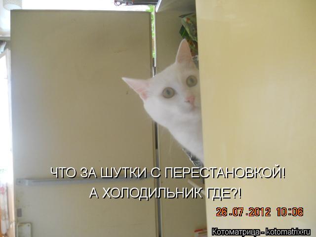 Котоматрица: ЧТО ЗА ШУТКИ С ПЕРЕСТАНОВКОЙ! А ХОЛОДИЛЬНИК ГДЕ?!
