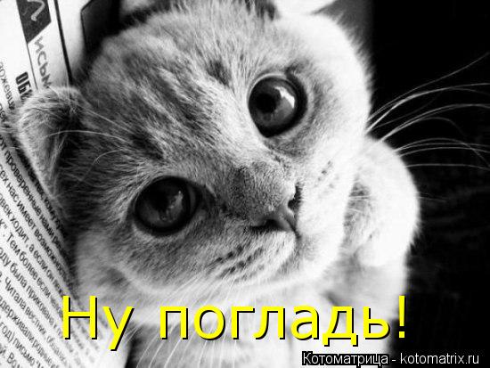 Котоматрица: Ну погладь!