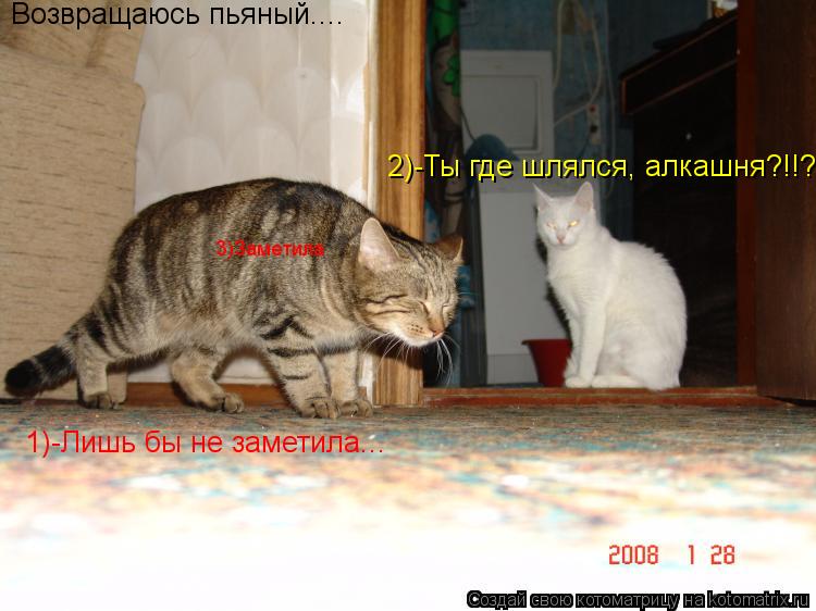 Котоматрица: Возвращаюсь пьяный.... 1)-Лишь бы не заметила... 2)-Ты где шлялся, алкашня?!!? 3)Заметила