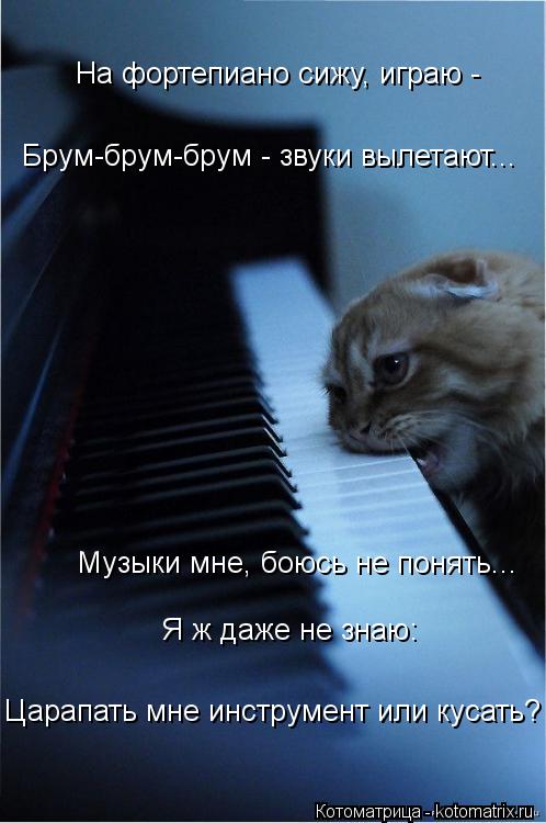 На фортепиано сижу, играю - Брум-брум-брум - звуки вылетают... Музыки мне, боюсь не понять... Я ж даж... Котоматрица: На фортепиано сижу, играю - Брум-брум-брум - звуки вылетают... Музыки мне, боюсь не понять... Я ж даже не знаю: Царапать мне инструмент или кусат