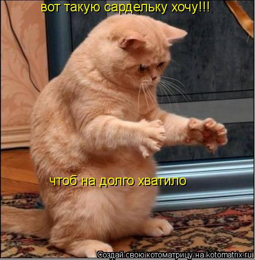 Котоматрица: вот такую сардельку хочу!!! чтоб на долго хватило