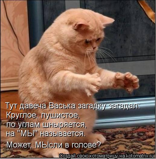 Котоматрица: Тут давеча Васька загадку загадал: Круглое, пушистое,  по углам шныряется, на "МЫ" называется. Может, МЫсли в голове?