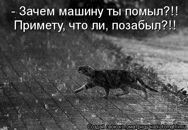 Котоматрица: - Зачем машину ты помыл?!! Примету, что ли, позабыл?!!