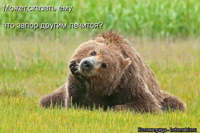 Котоматрица: Может,сказать ему, что запор другим лечится?