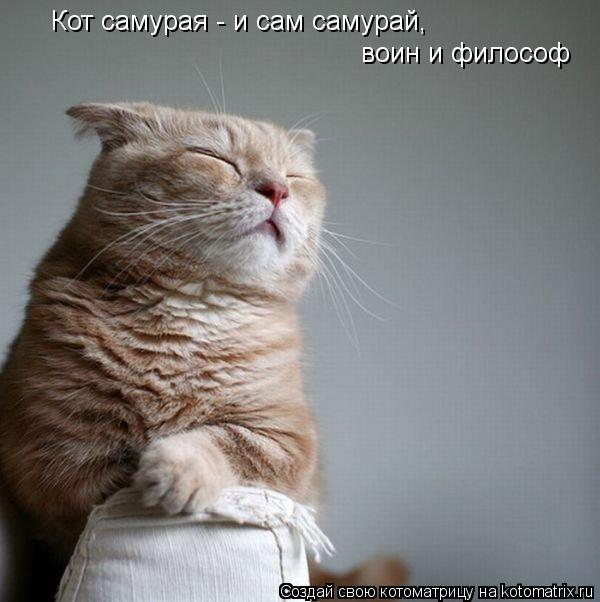 Котоматрица: Кот самурая - и сам самурай,  воин и философ