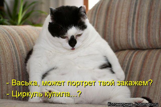 - Васька, может портрет твой закажем? - Циркуль купила...?... Котоматрица: - Васька, может портрет твой закажем? - Циркуль купила...?