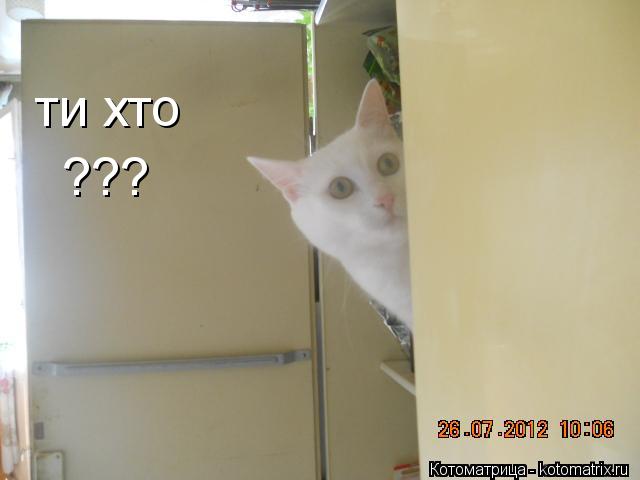Котоматрица: ти хто ???
