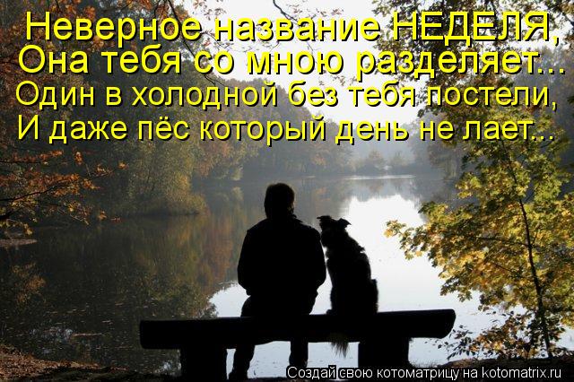 Котоматрица: Неверное название НЕДЕЛЯ, Она тебя со мною разделяет... Один в холодной без тебя постели, И даже пёс который день не лает...