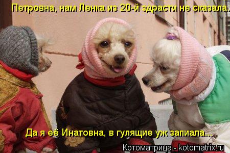 Котоматрица: Петровна, нам Ленка из 20-й здрасти не сказала.. Да я её Инатовна, в гулящие уж запиала...