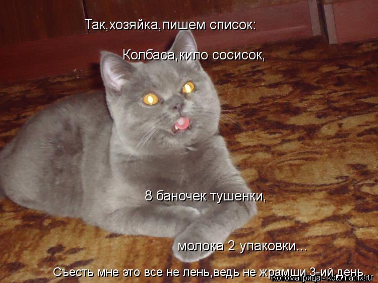 Котоматрица: Так,хозяйка,пишем список: Колбаса,кило сосисок, 8 баночек тушенки, молока 2 упаковки... Съесть мне это все не лень,ведь не жрамши 3-ий день...