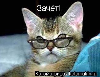 Котоматрица: Зачёт!