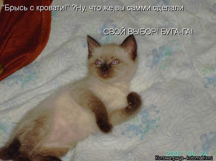 Котоматрица: "Брысь с кровати!" ?Ну, что же,вы самми сделали  СВОЙ ВЫБОР! БУГА-ГА!