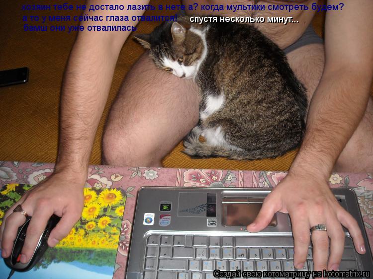 Котоматрица: хозяин тебе не достало лазить в нете а? когда мультики смотреть будем? спустя несколько минут... а то у меня сейчас глаза отвалится! бамш они 