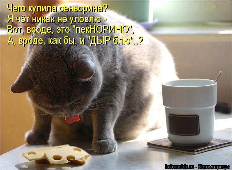 Котоматрица: Чего купила сеньорина? Я чёт никак не уловлю - Вот, вроде, это "пекНОРИНО",  А, вроде, как бы, и "ДЫР блю"..?