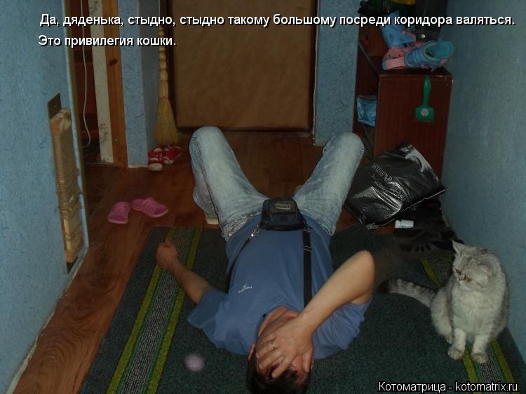 Котоматрица: Да, дяденька, стыдно, стыдно такому большому посреди коридора валяться. Это привилегия кошки.